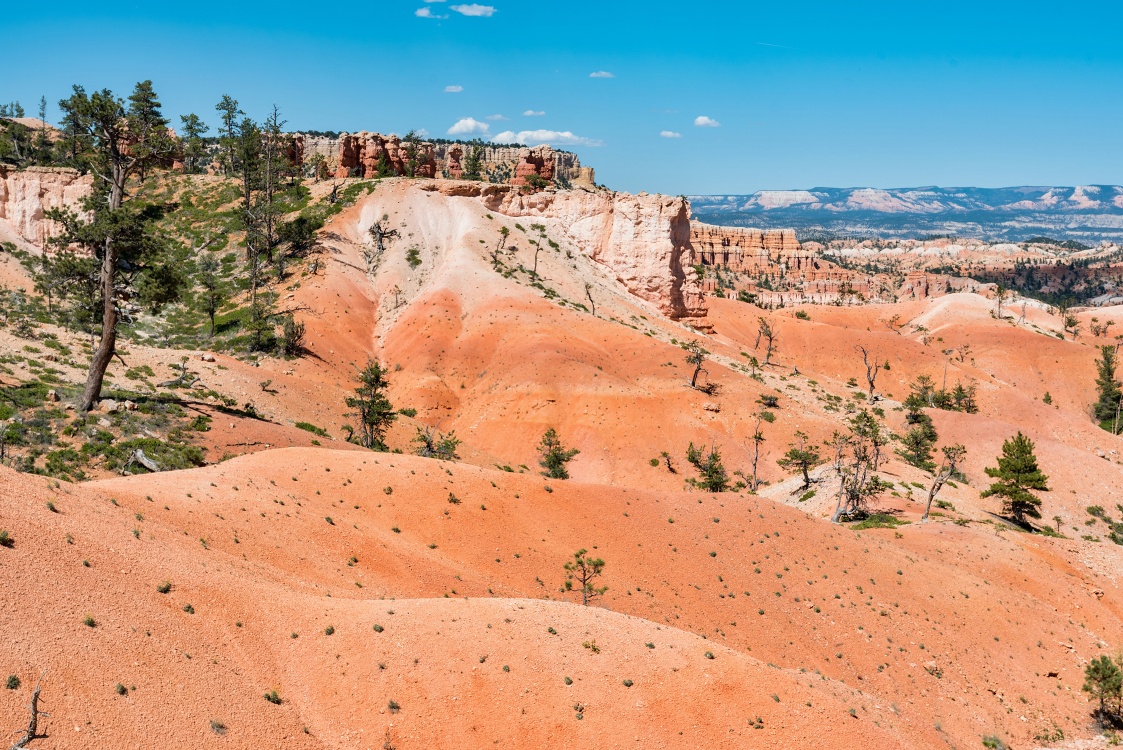 NP Bryce Canyon