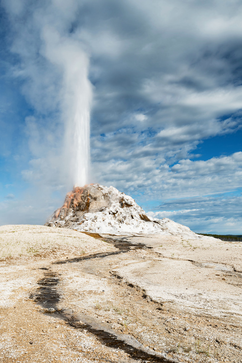 NP Yellowstone