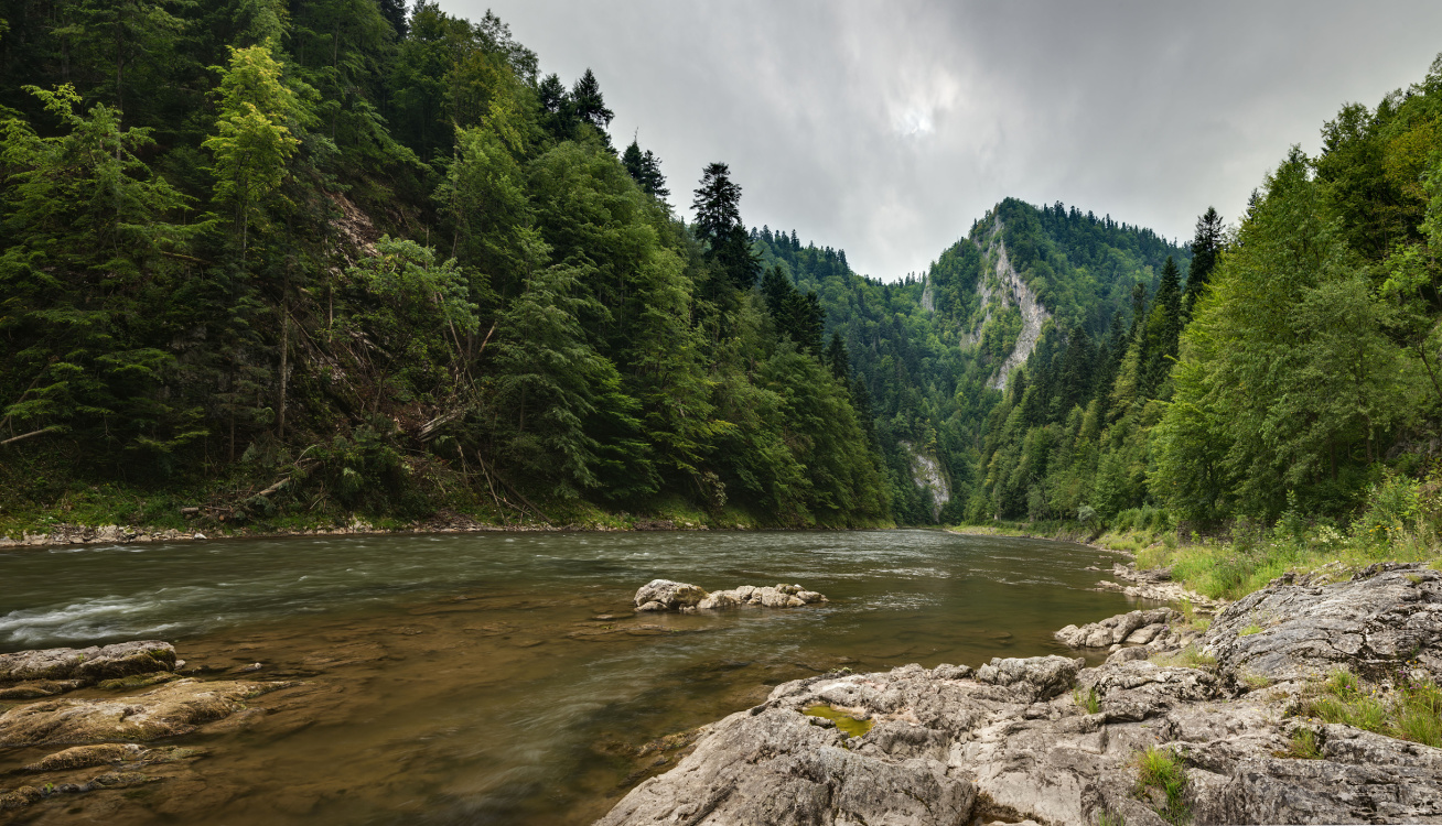 Pieniny