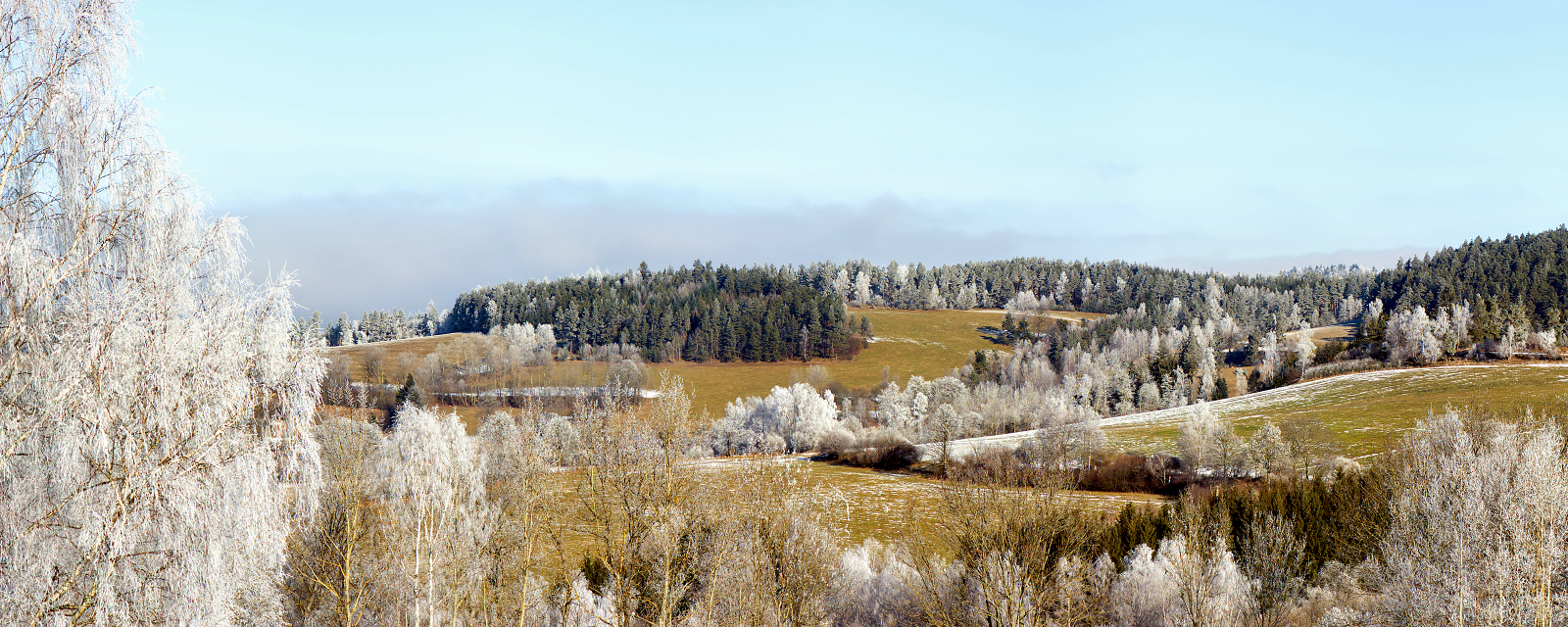 Šumava