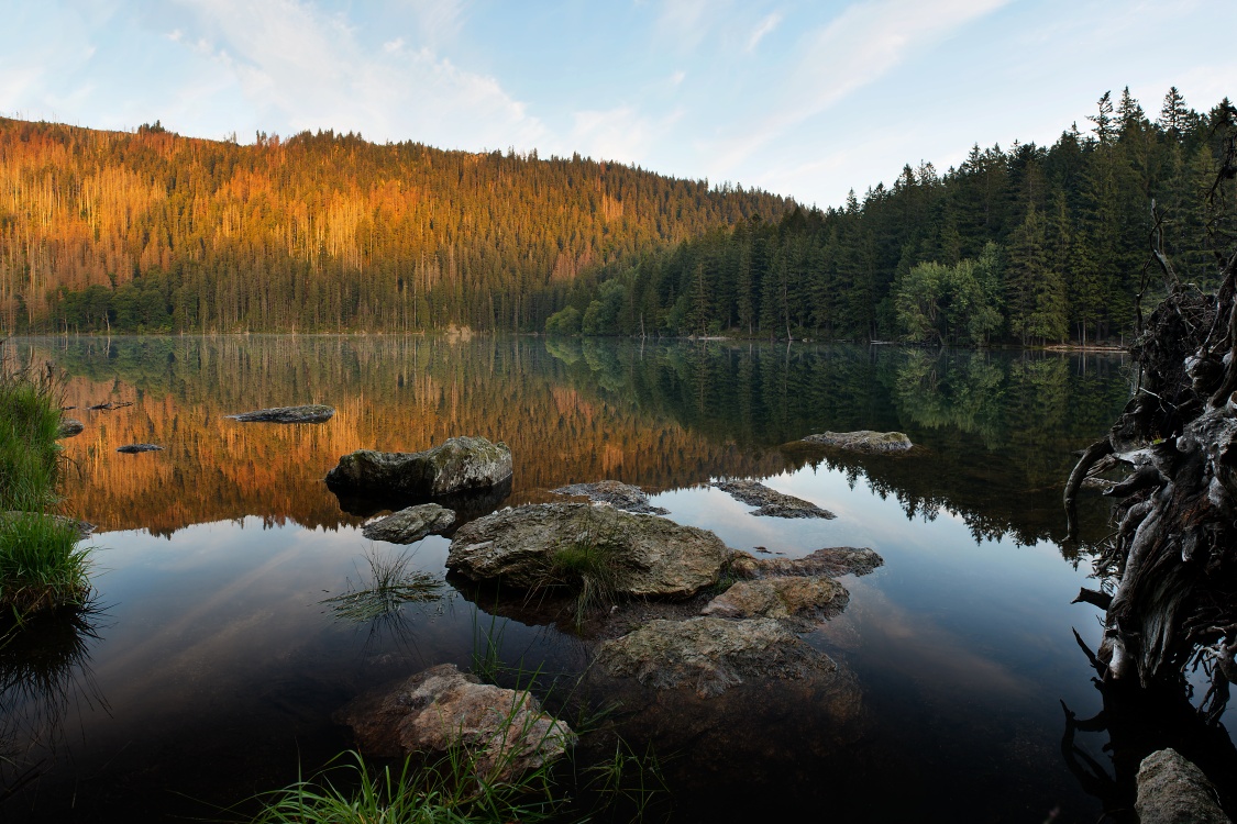 Šumava