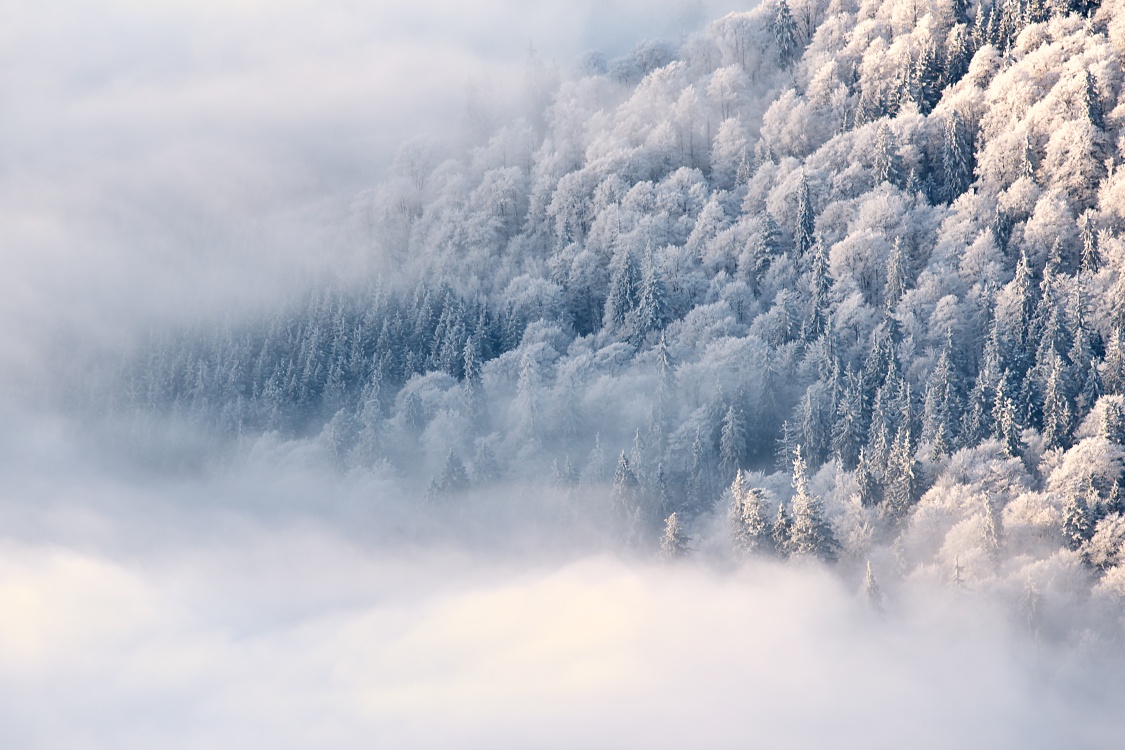 Šumava