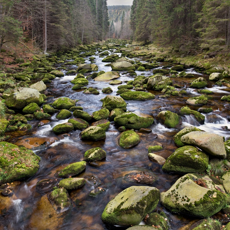 Šumava