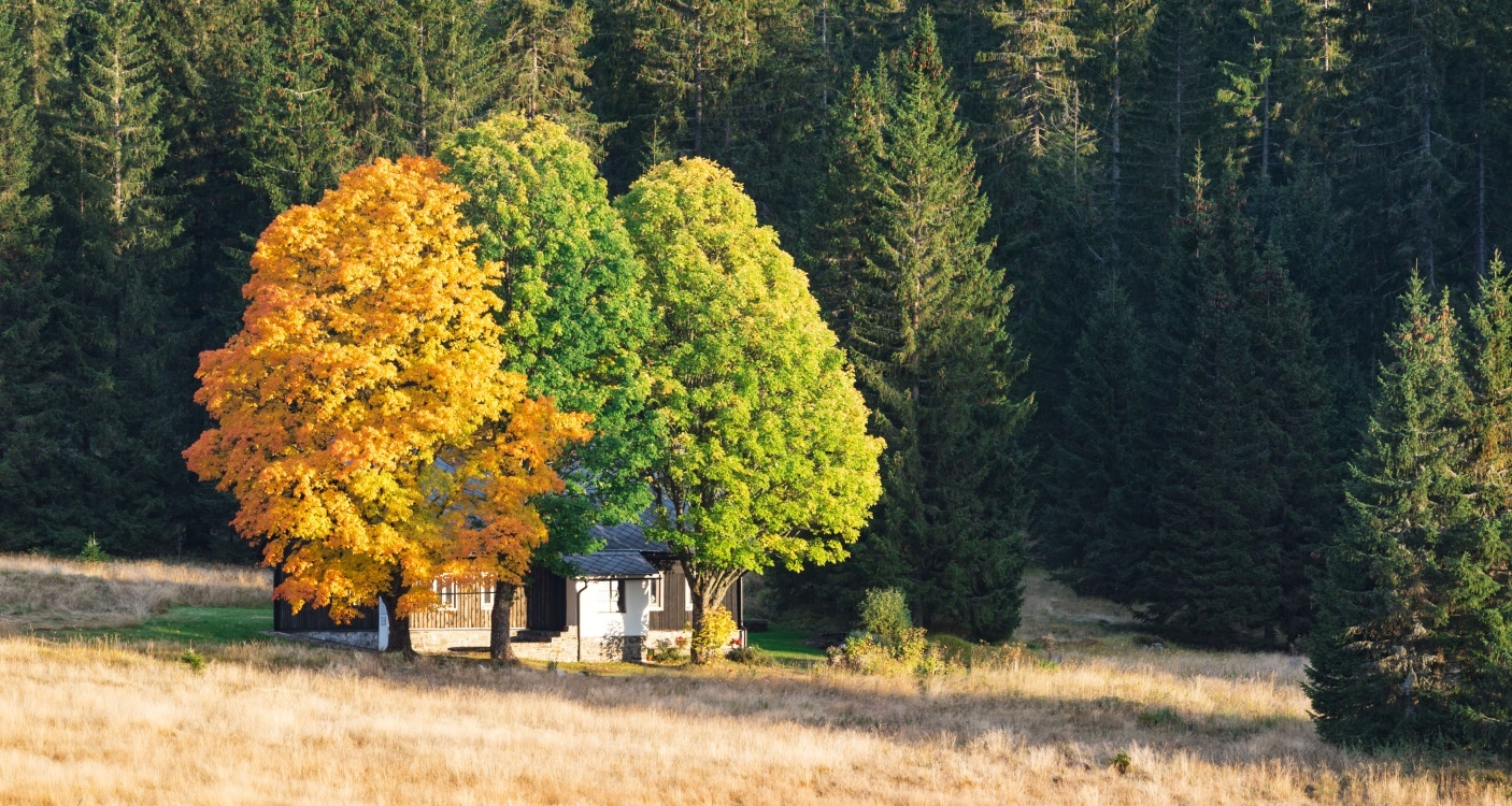 Šumava