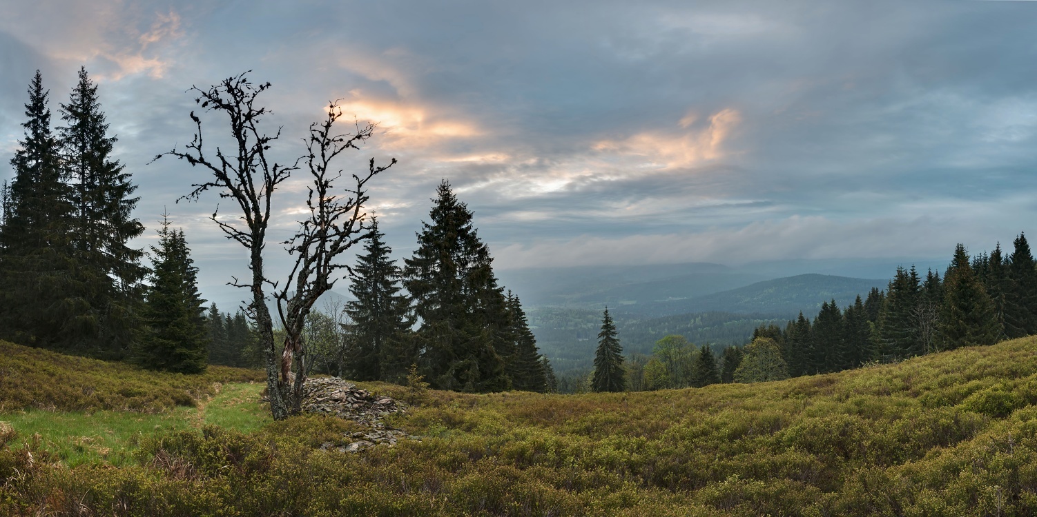 Šumava