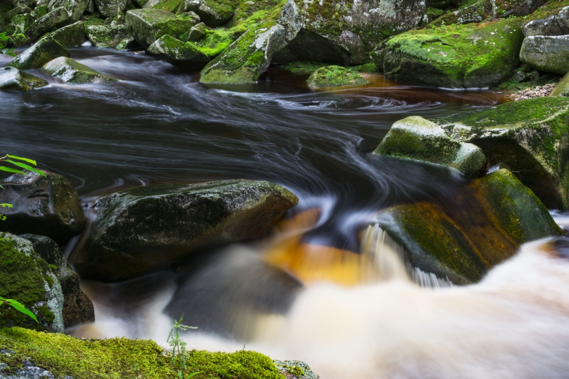 Šumava