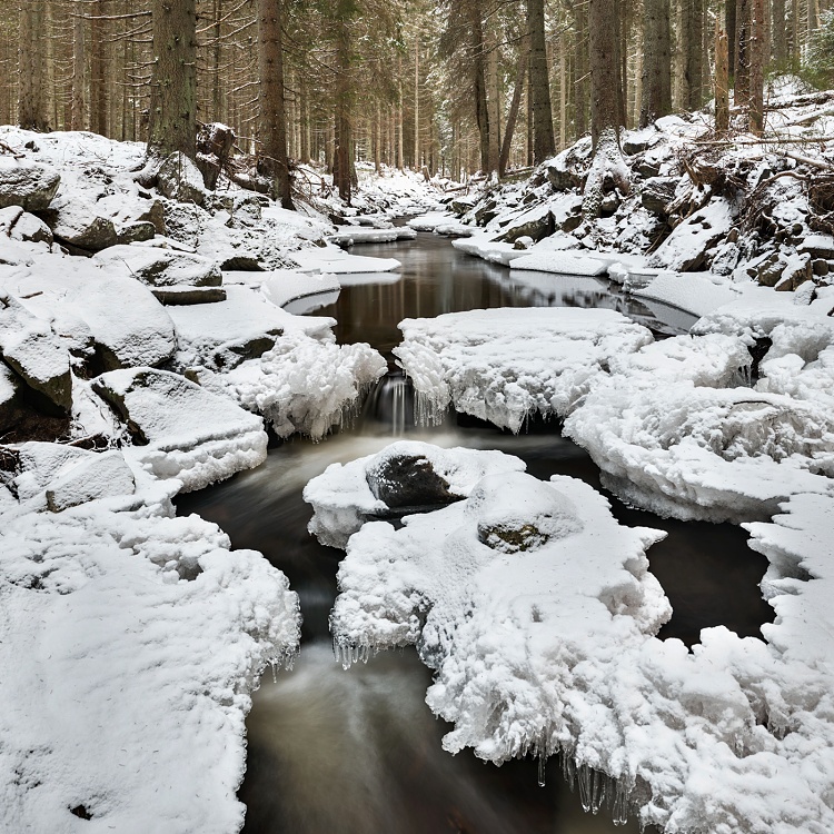 Šumava