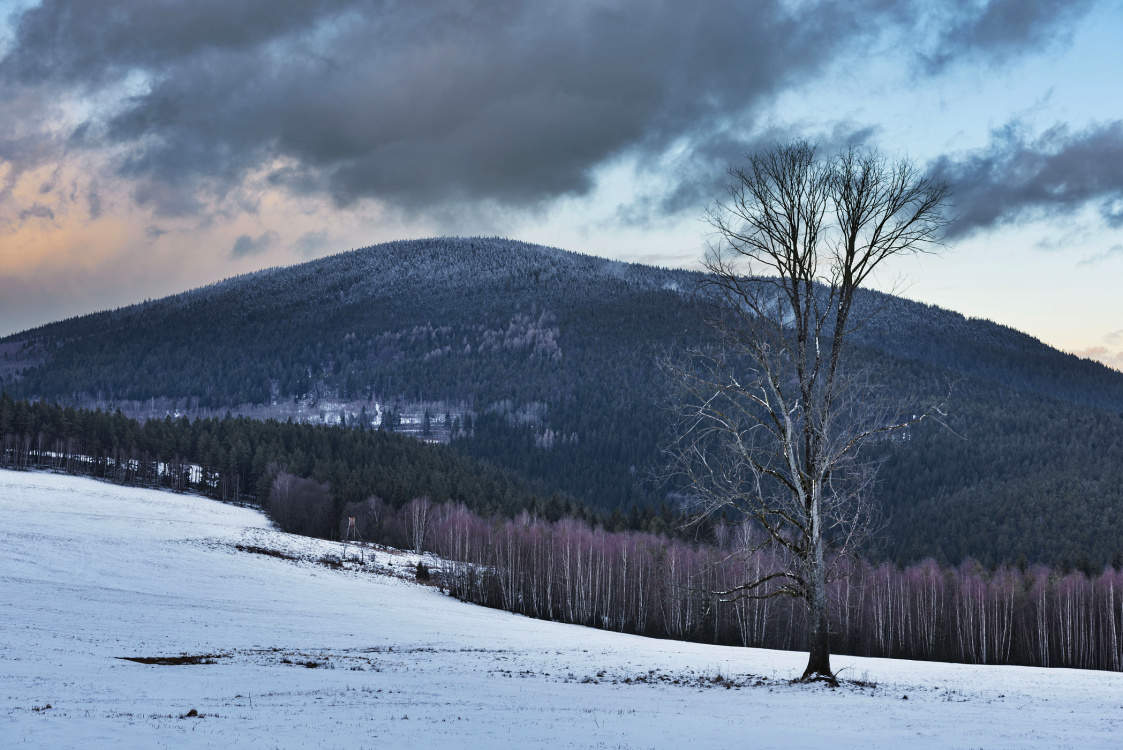 Šumava