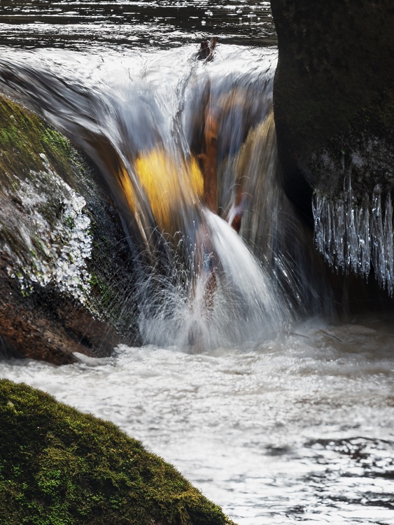 Šumava