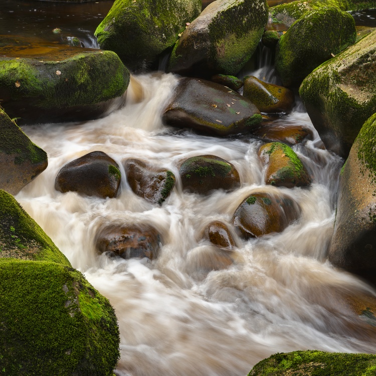 Šumava