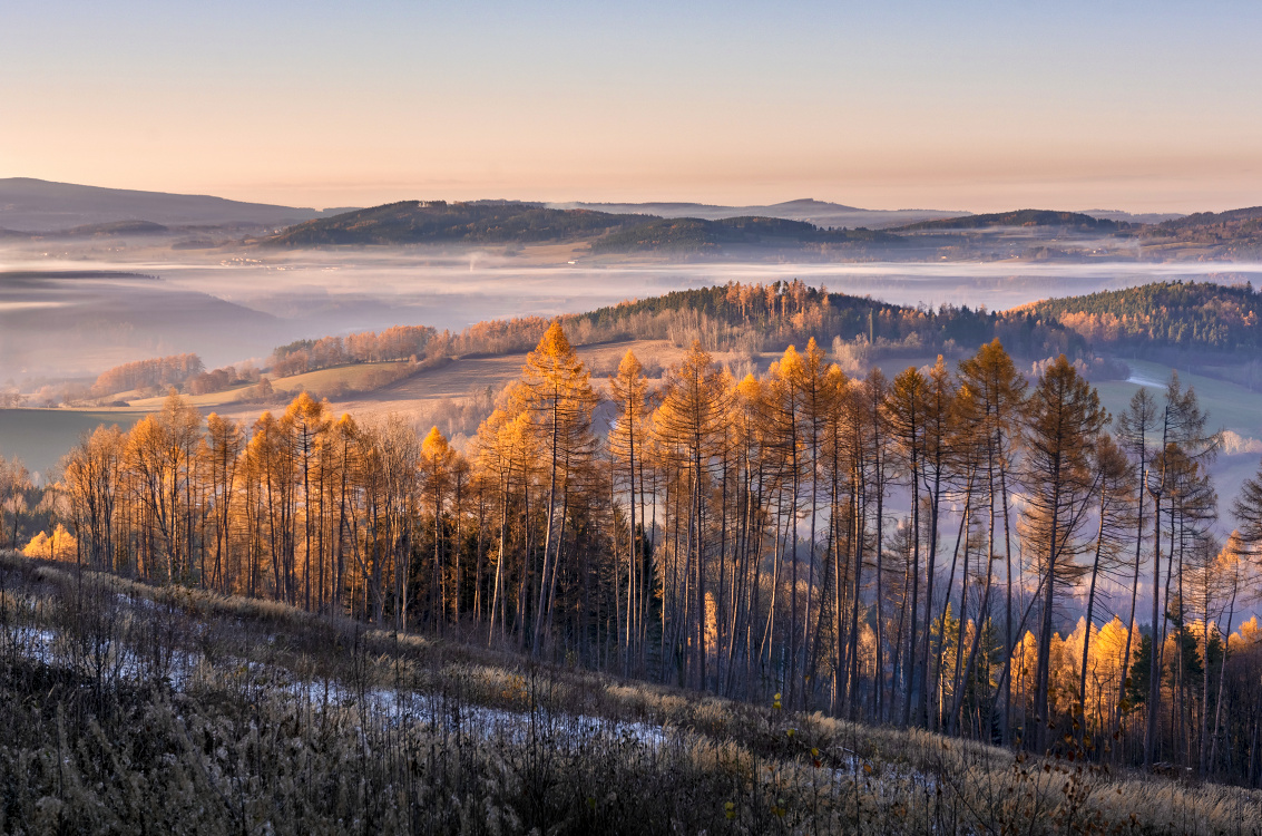 Šumava