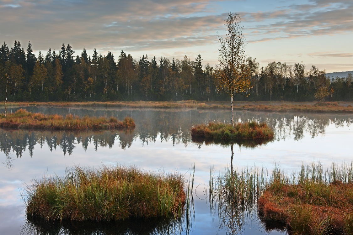 Šumava