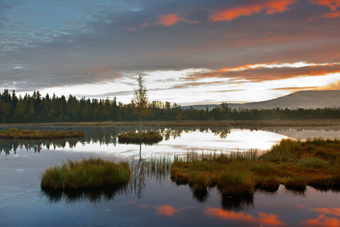 Šumava