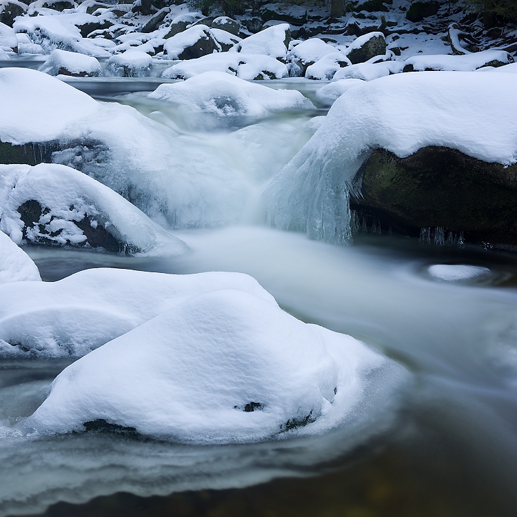 Šumava