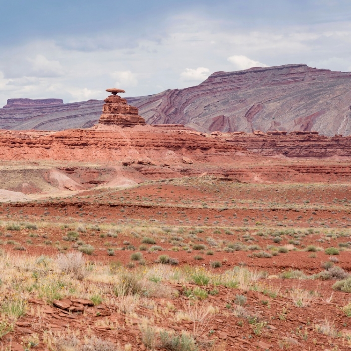 Mexican Hat