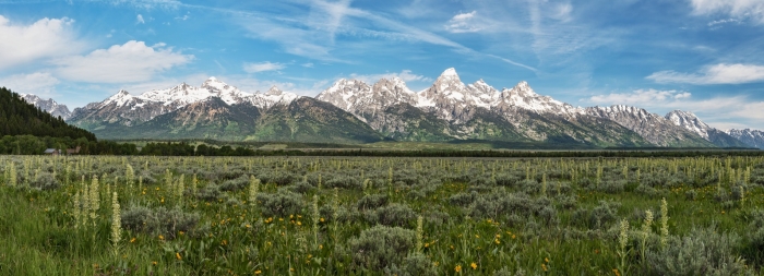 NP Grand Teton