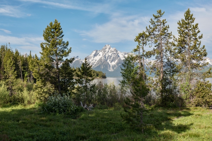 NP Grand Teton