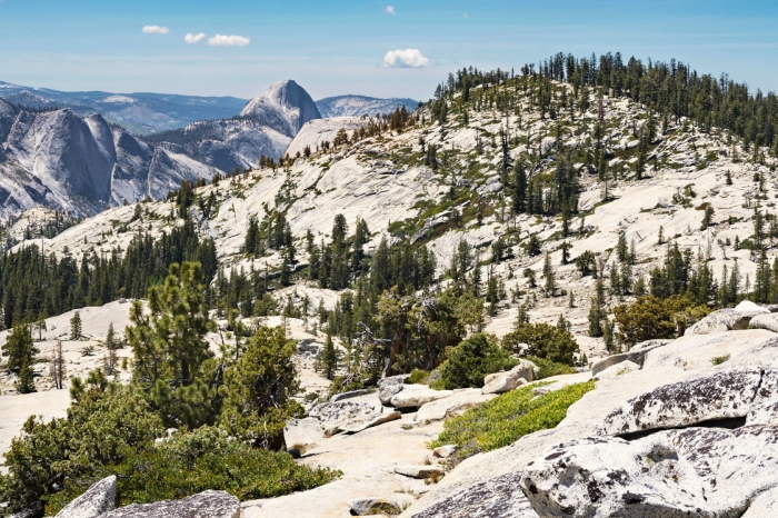 NP Yosemite