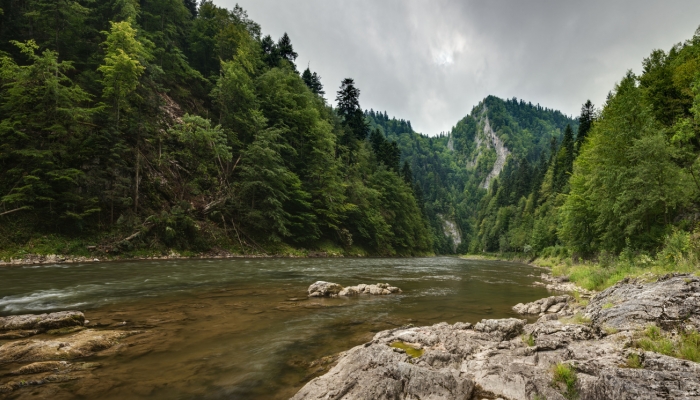 Pieniny