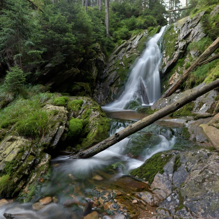 Šumava