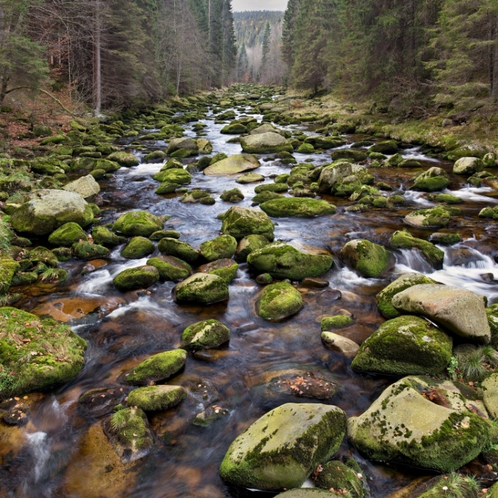 Šumava