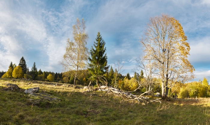 Šumava