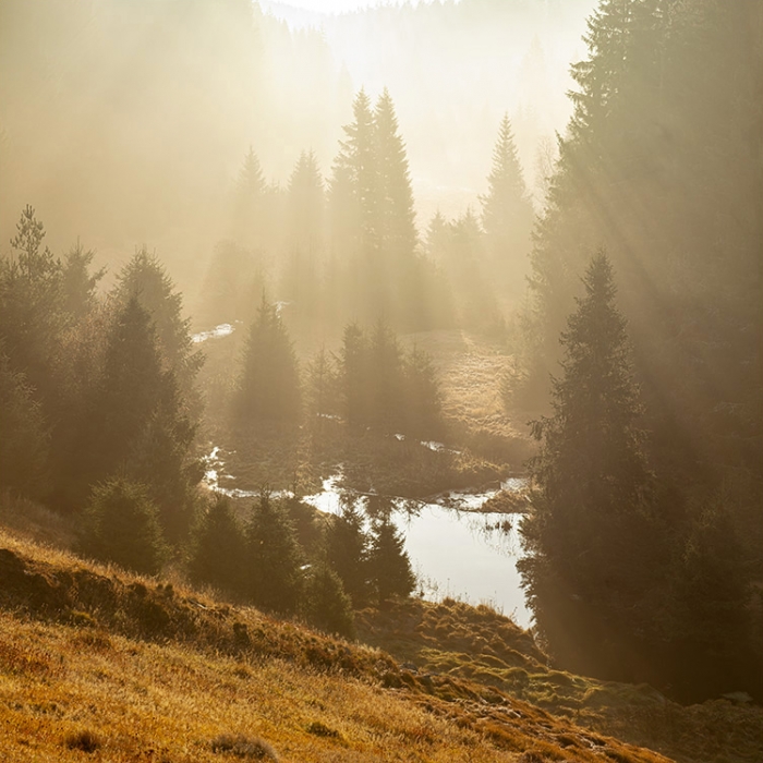 Šumava