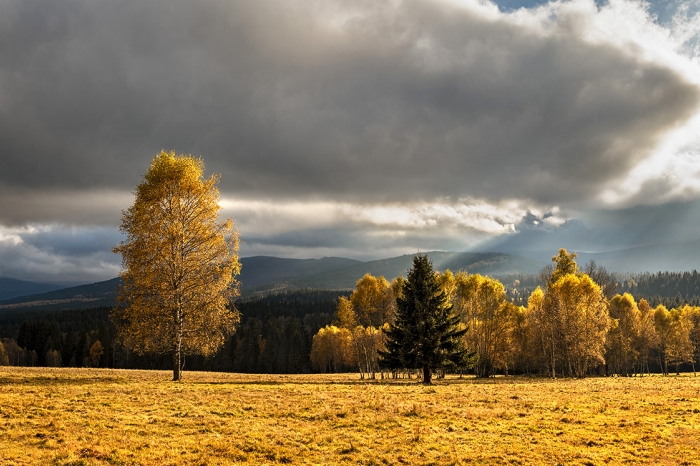 Šumava