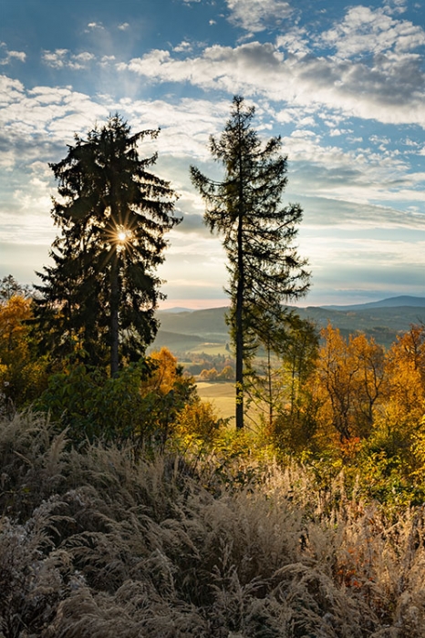 Šumava