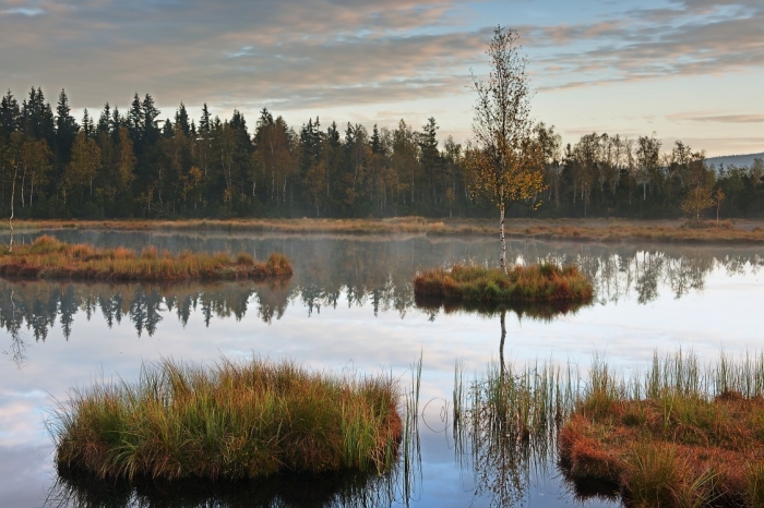 Šumava